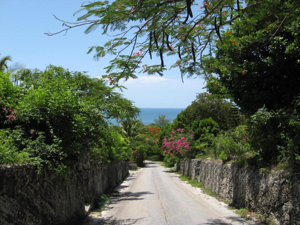 Pink Sand Cottage Cottage North Palmetto Point Ngoại thất bức ảnh